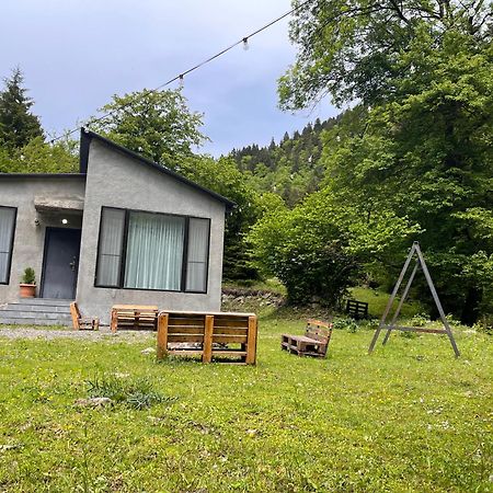 Cozy House In The Forest Borjomi ภายนอก รูปภาพ