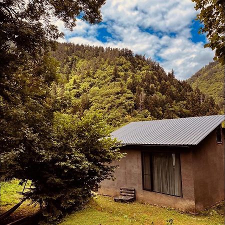Cozy House In The Forest Borjomi ภายนอก รูปภาพ