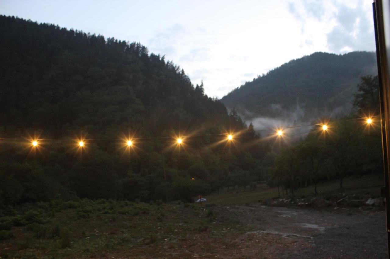 Cozy House In The Forest Borjomi ภายนอก รูปภาพ