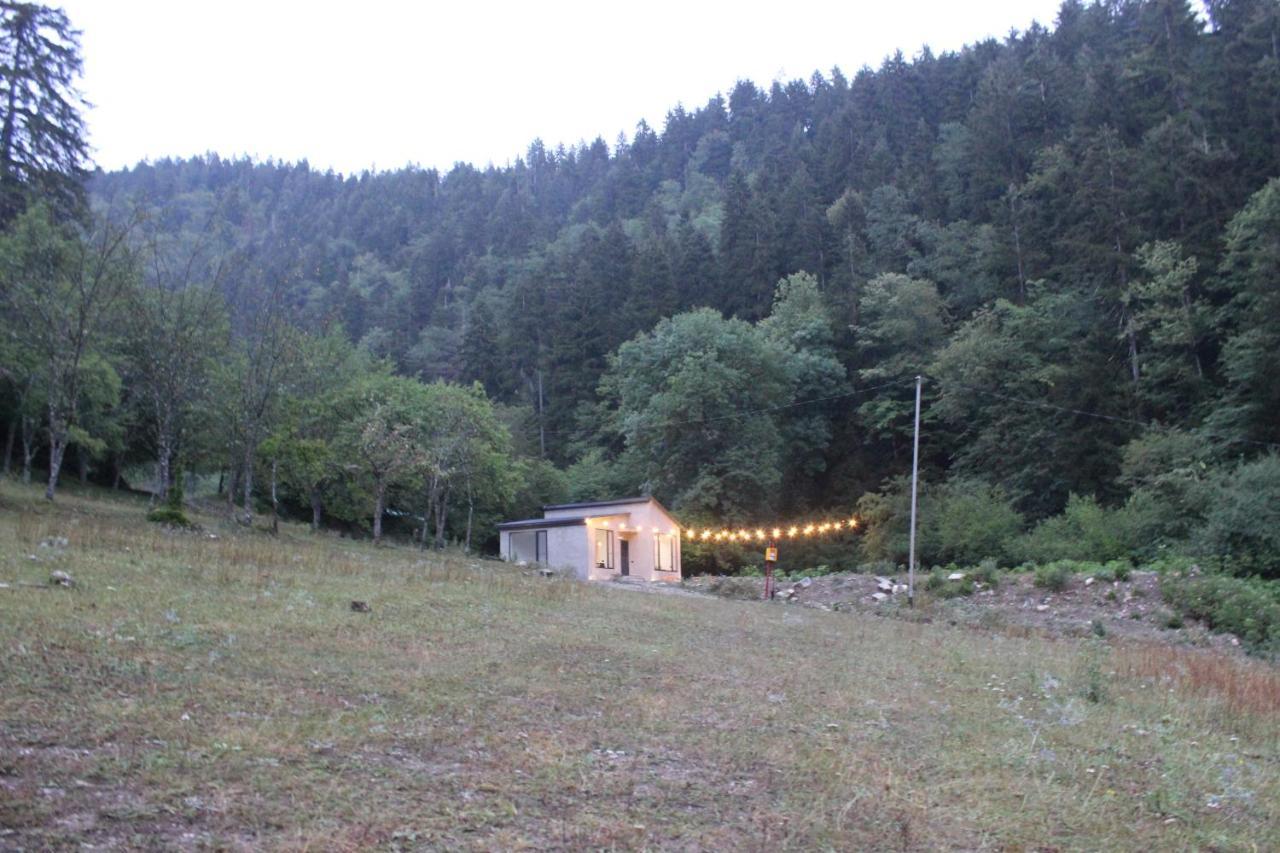 Cozy House In The Forest Borjomi ภายนอก รูปภาพ