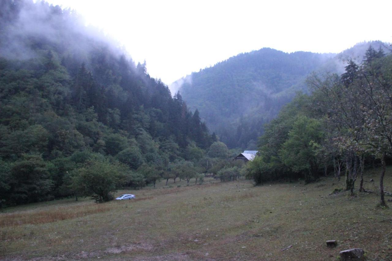 Cozy House In The Forest Borjomi ภายนอก รูปภาพ