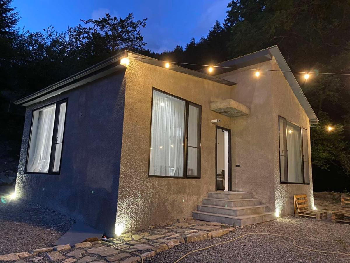 Cozy House In The Forest Borjomi ภายนอก รูปภาพ