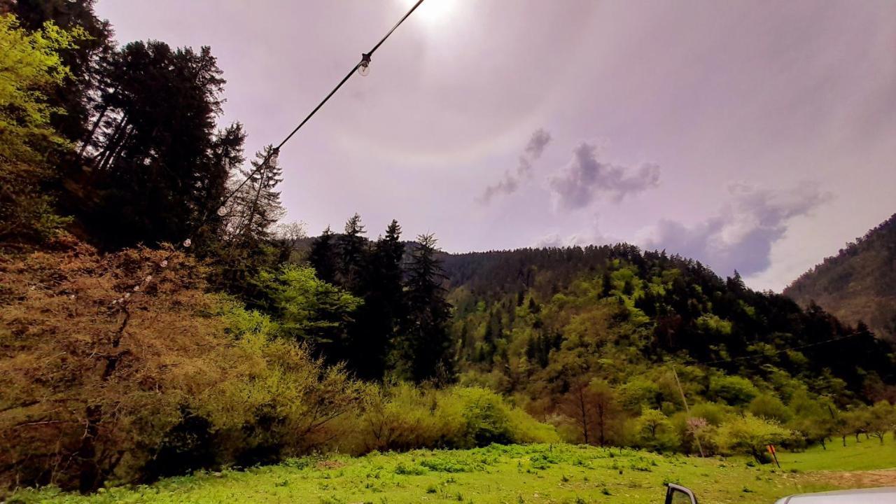 Cozy House In The Forest Borjomi ภายนอก รูปภาพ