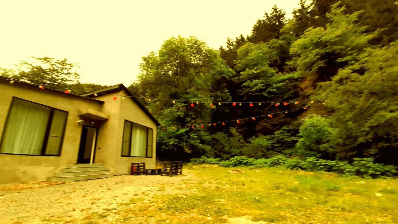 Cozy House In The Forest Borjomi ภายนอก รูปภาพ