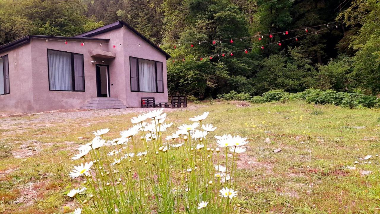 Cozy House In The Forest Borjomi ภายนอก รูปภาพ