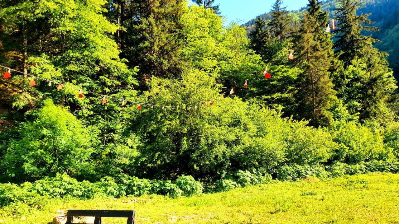 Cozy House In The Forest Borjomi ภายนอก รูปภาพ
