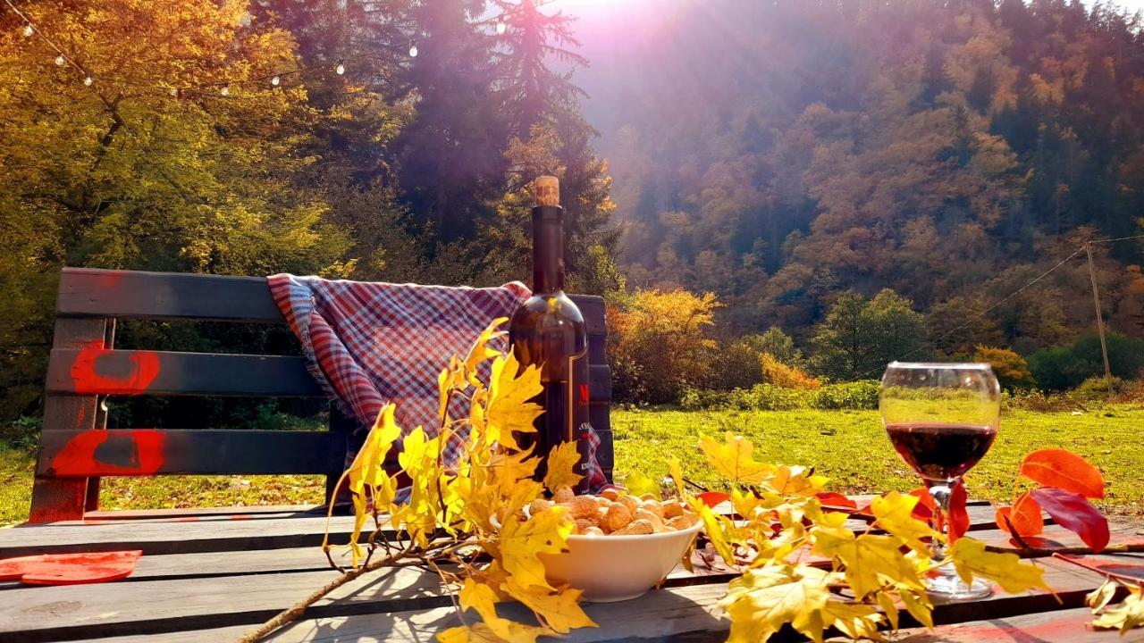 Cozy House In The Forest Borjomi ภายนอก รูปภาพ