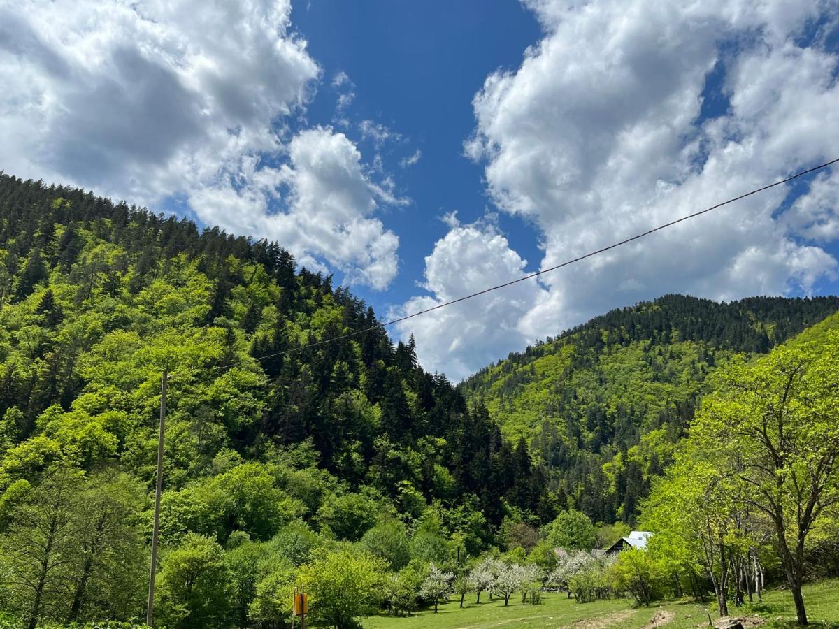 Cozy House In The Forest Borjomi ภายนอก รูปภาพ