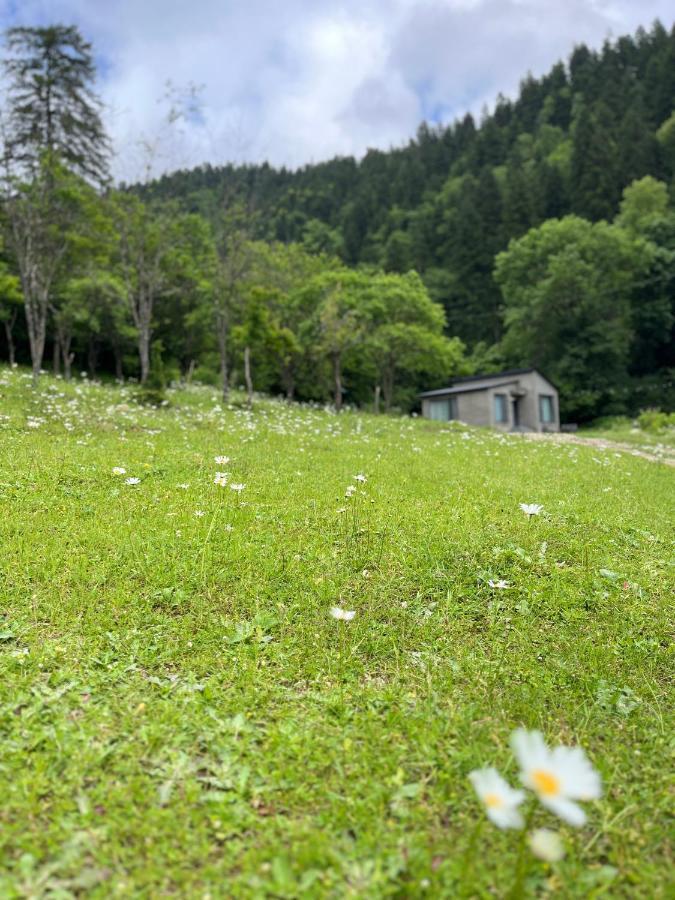 Cozy House In The Forest Borjomi ภายนอก รูปภาพ