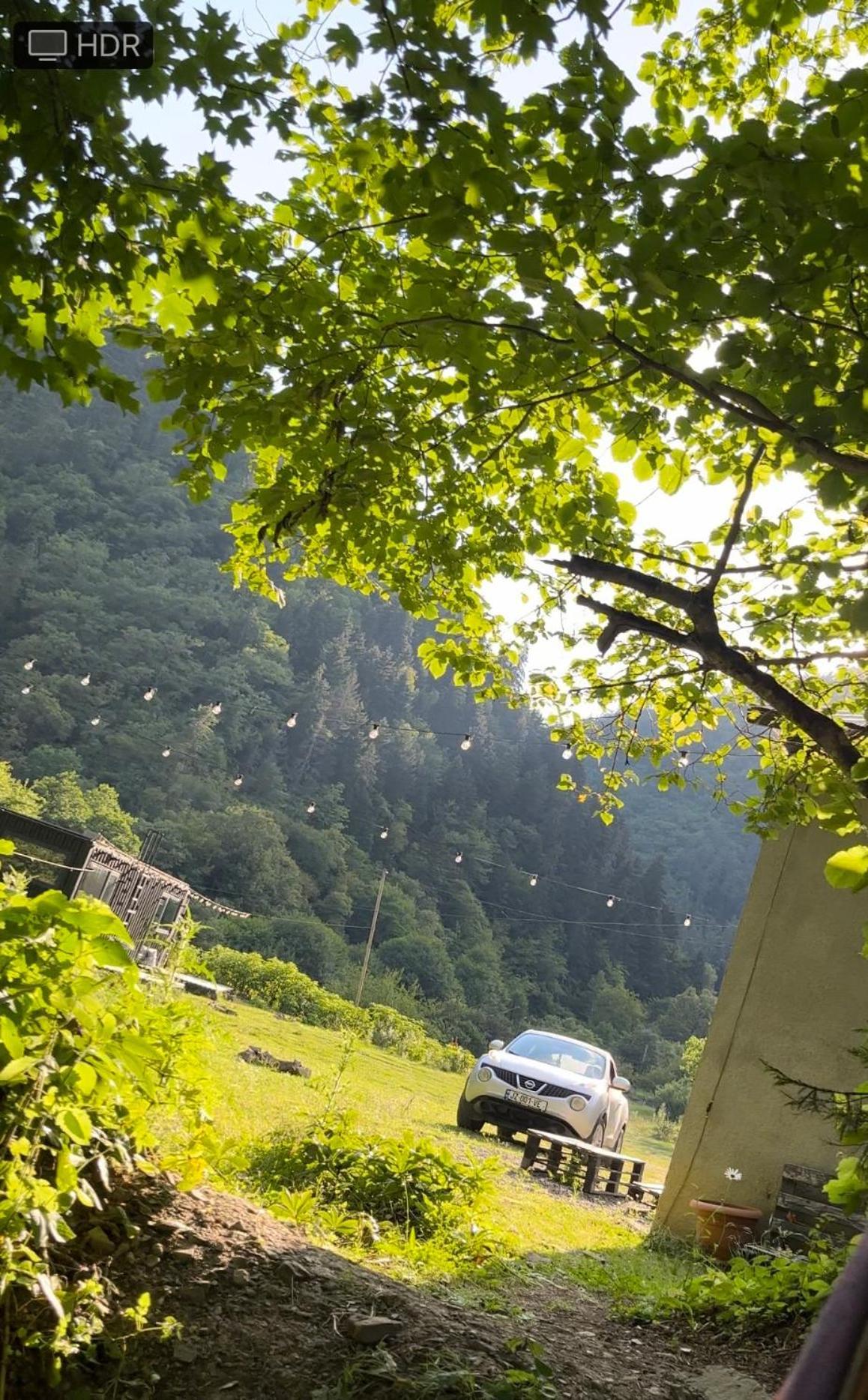Cozy House In The Forest Borjomi ภายนอก รูปภาพ