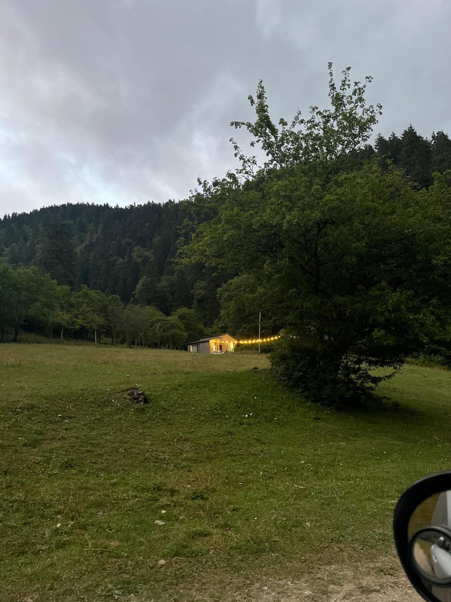 Cozy House In The Forest Borjomi ภายนอก รูปภาพ