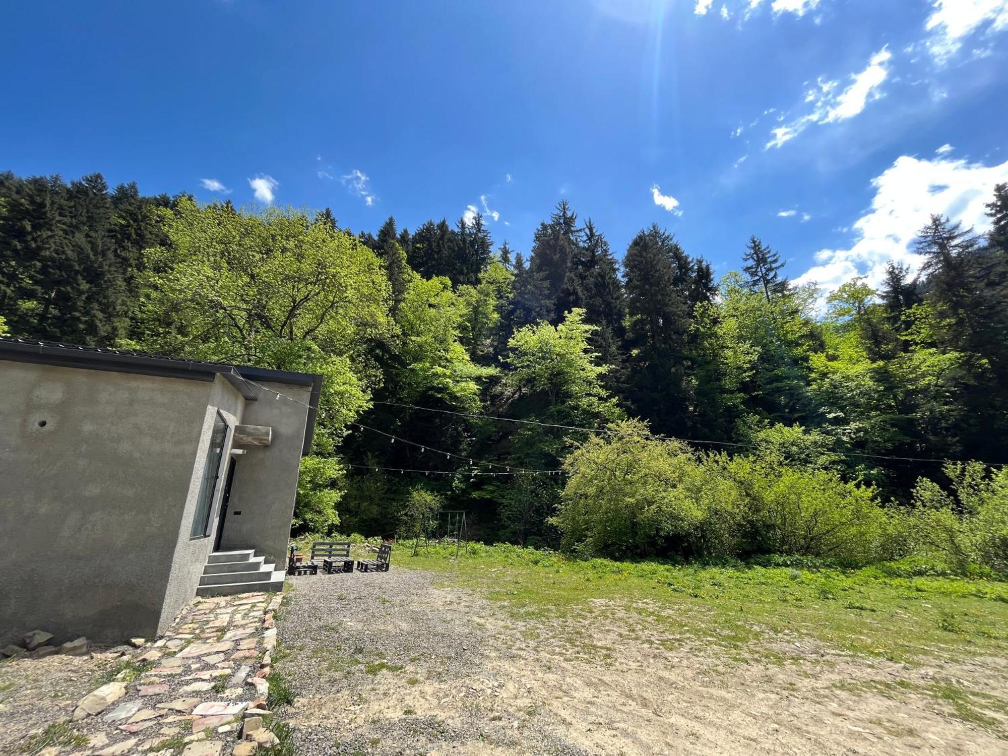 Cozy House In The Forest Borjomi ภายนอก รูปภาพ