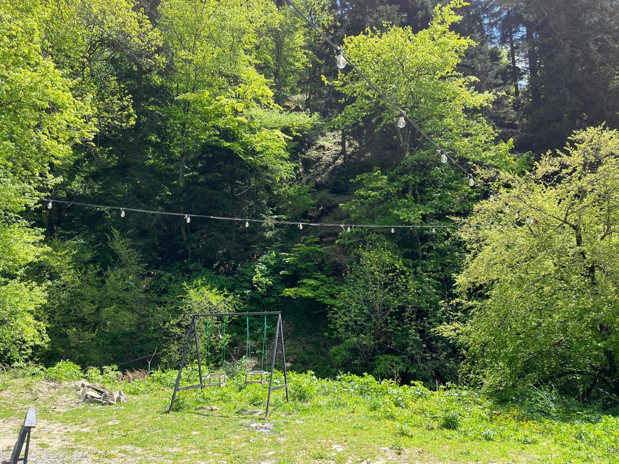 Cozy House In The Forest Borjomi ภายนอก รูปภาพ