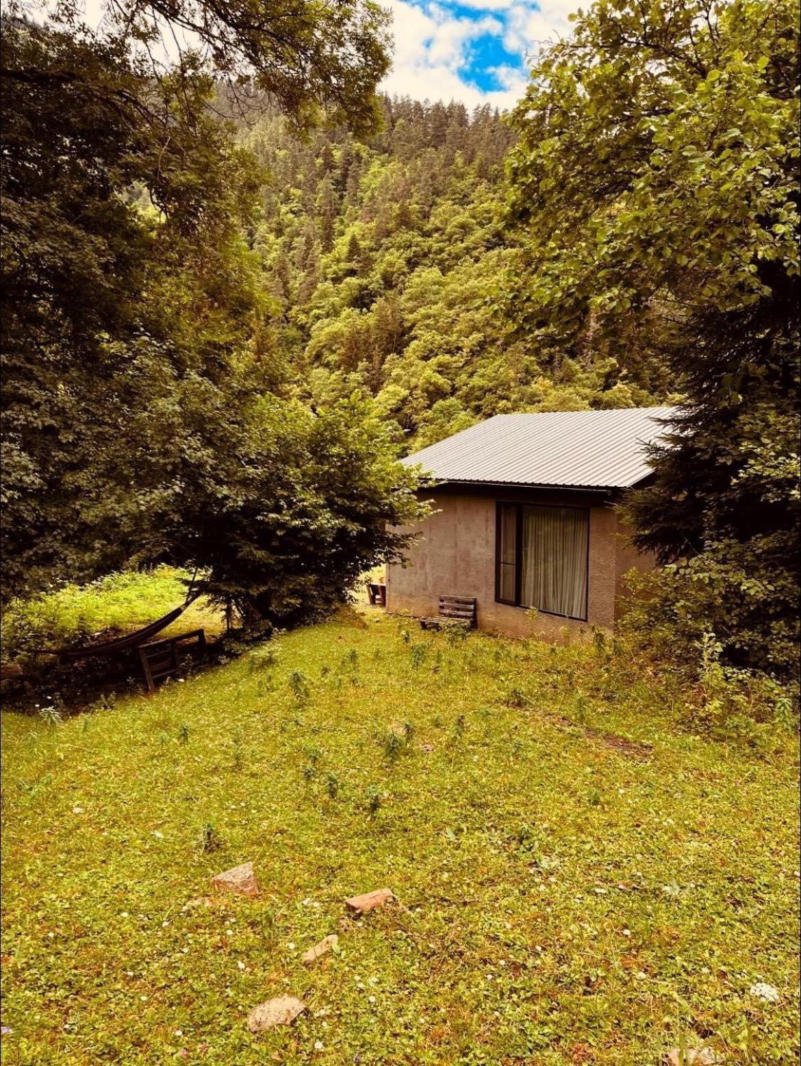 Cozy House In The Forest Borjomi ภายนอก รูปภาพ