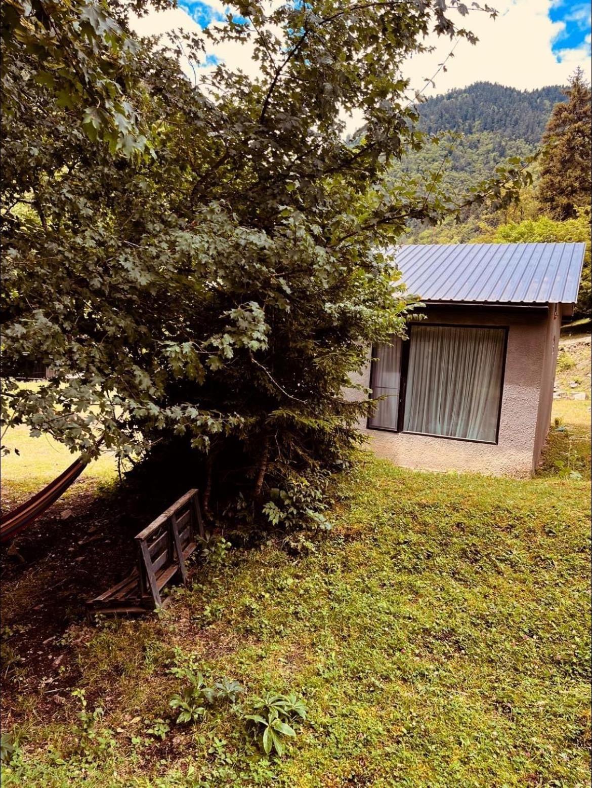 Cozy House In The Forest Borjomi ภายนอก รูปภาพ